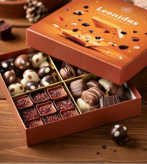 La collection Automne 