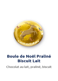 Boule de Noël praliné biscuit