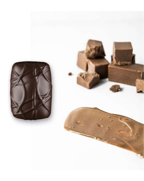 Noisette masquée noir