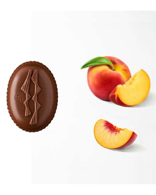 Irrésistible Pêche